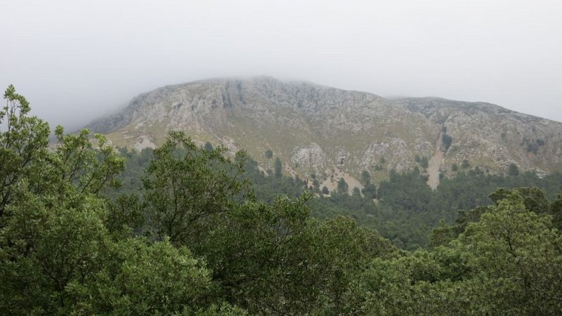 161010_Tomir_Wolken.jpg - Mallorca-Wanderungen - 10.10.2016 Einlaufen auf dem GR 221 sowie auf Abzweigungen und -wegen vom Abstieg ins Binifaldo-Tal  - Tomir in Wolken