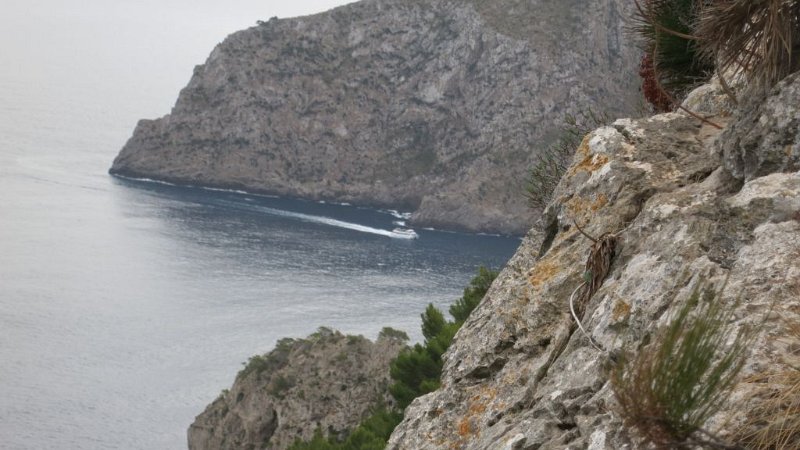 161013_Boot.jpg - Mallorca-Wanderungen - 13.10.2016 Talaia d' Alcudia  vor dem letzten Aufstieg zum Penya Rotja  -  Boot 