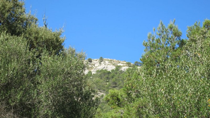 161027_Ofre.jpg - Mallorca-Wanderungen - 27.10.2016   L' Ofre über Comasema   am Ende des Aufstieges Barancones  -  Gipfel des Ofre
