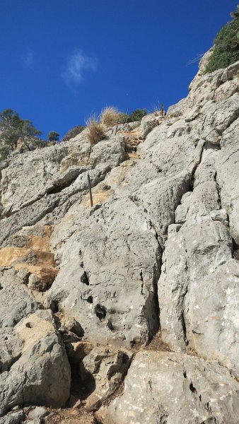 161029_Abstieg_steil.jpg - Mallorca-Wanderungen - 29.10.2016  Sa Cova Tancada   Abstieg kurz vor der Höhle  -  sehr steil