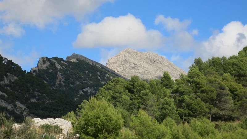 161014_Massanella.jpg - Mallorca-Wanderungen - 14.10.2016 Refugi Tossals Verds  vom Rückweg  -  Massanella