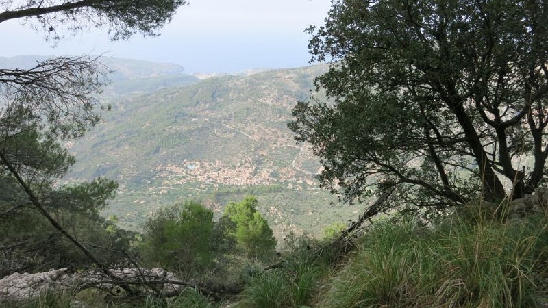 161024_Fornalutx.jpg - Mallorca-Wanderungen - 24.10.2016 Bianaraix   am neuen Abstieg  -  Fornalutx