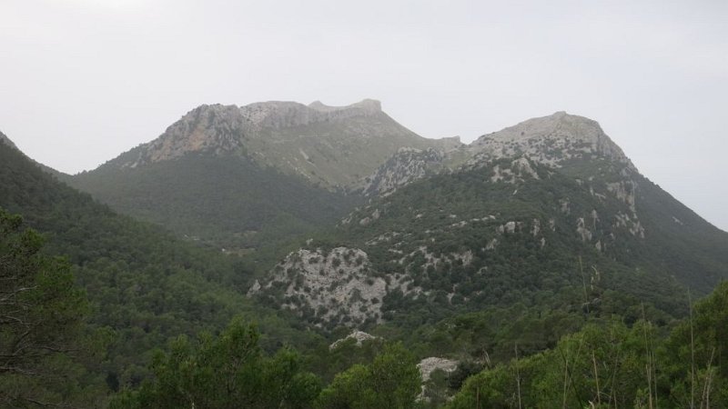 161026_Massanella.jpg - Mallorca-Wanderungen - 26.10.2016   Aucanada   am Aufstieg zum Batalla  -  Massanelle, Galileu