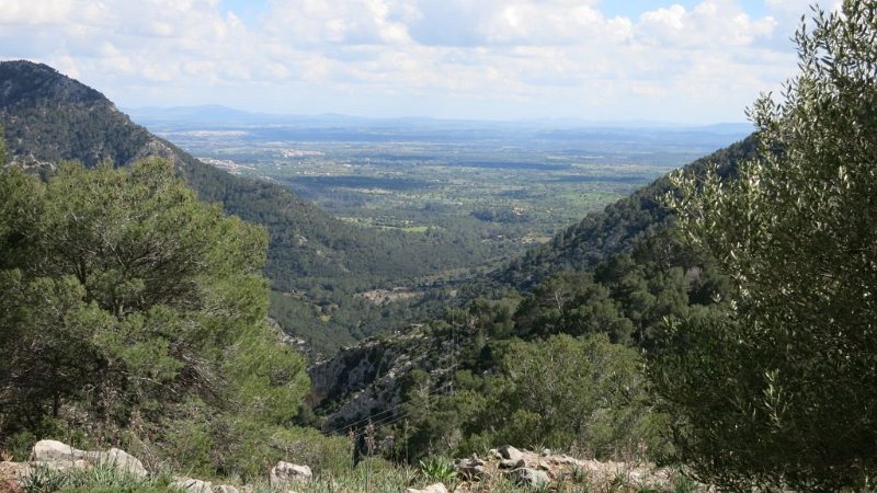 170325_Tal_Ebene_1.jpg - Mallorca-Wanderungen - 25.03.2017 Galileu  von der Rückfahrt  -  Tal Richtung Ebene
