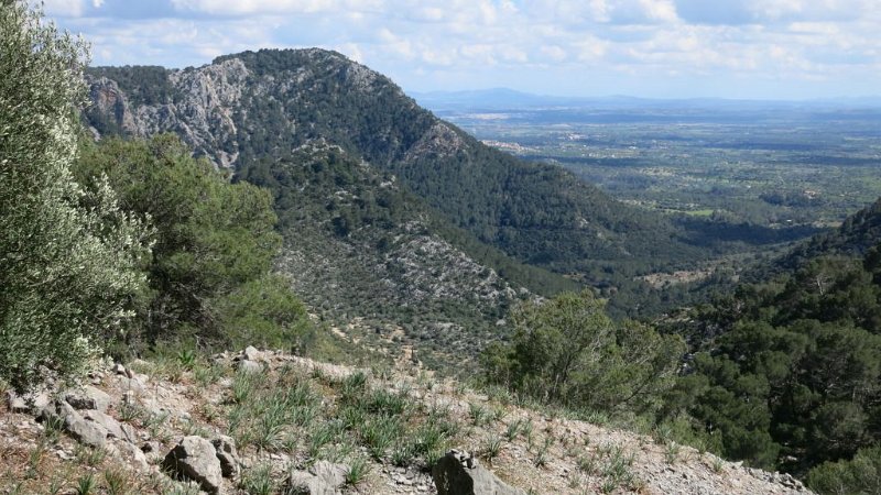 170325_Tal_Ebene_2.jpg - Mallorca-Wanderungen - 25.03.2017 Galileu  von der Rückfahrt  -  Tal Richtung Ebene