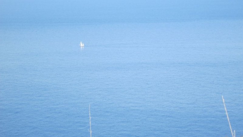 170326_Segelboot.jpg - Mallorca-Wanderungen - 26.03.2017 Puig Roig  vom Rundweg  -  Segelboot