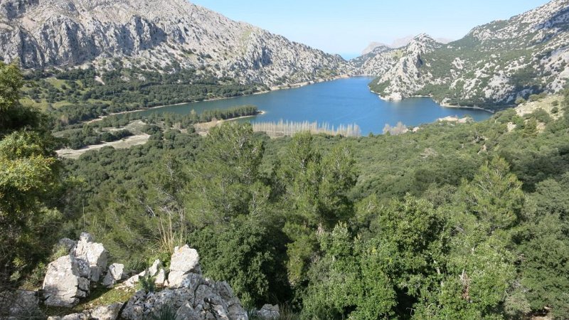 170329_Gorg_Blau.jpg - Mallorca-Wanderungen - 29.03.2017 Refugii Tossals Verds  vom Rückweg  -  gefüllter Speicher Gorg Blau