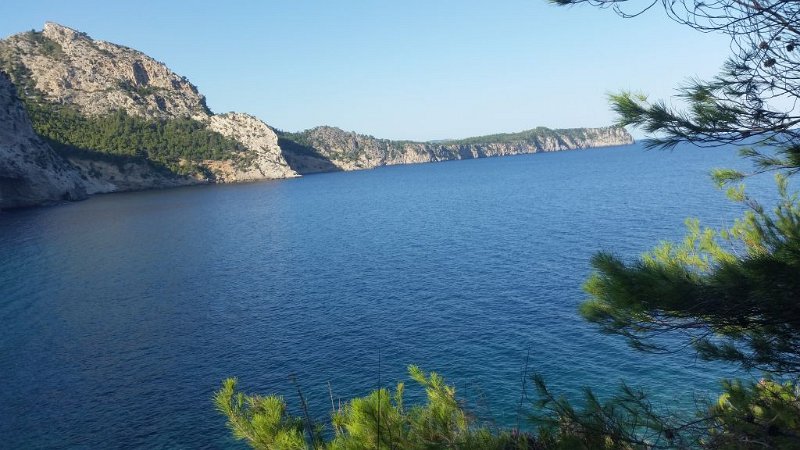 171013_Umgebung_Bucht_L.jpg - Mallorca-Wanderungen - 13.10.2017 Talaia und Platja  Lennart, Anton, Helmuth - Umgebung der Bucht (Foto Lennart)