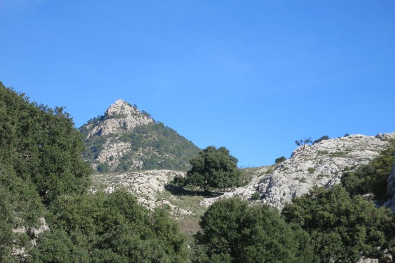 171024_Ofre.jpg - Mallorca-Wanderungen - 24.10.2017 Rundweg Ofre-Cornador-Ofre   Kammwanderung - L' Ofre