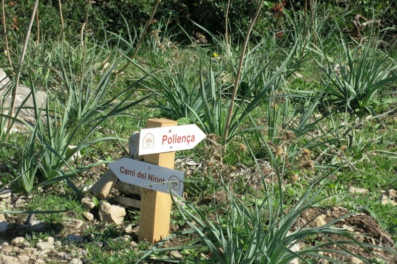 171027_Schilder.jpg - Mallorca-Wanderungen - 27.10.2017 Fartaritx über Cami del Ninot   Aufstieg Ninot - Hinweis-Schilder