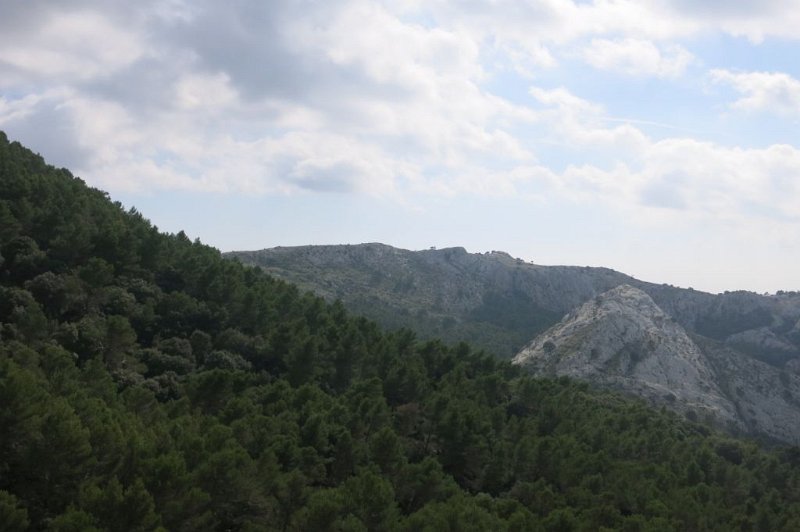 171028_Wanderung_1024_1.jpg - Mallorca-Wanderungen - 28.10.2017 Coma Sema mit Aufstieg Es Barracons   vom Coll de L' Ofre - Teil der Wanderung vom 24.10. 