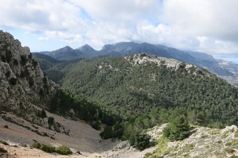 180307_Berge.jpg - Mallorca-Wanderungen - 07.03.2018 Tomir mit Umrundung  vom Aufstieg  -   Berge in Wolken