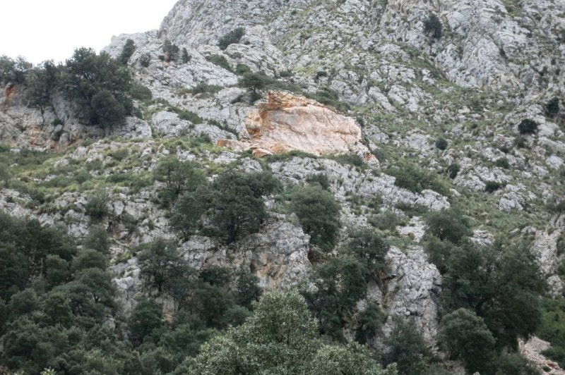 180308_Felssturz.jpg - Mallorca-Wanderungen - 08.03.2018   auf dem GR221  vom Weg  -  Narbe Felssturz 
