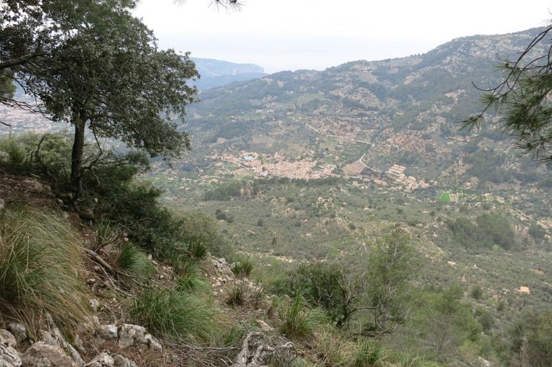 180314_Fornalutx.jpg - Mallorca-Wanderungen - 14.03.2018  Biniaraix, Fornalutx  vom Abstieg  -  Fornalutx, der schönste Ort