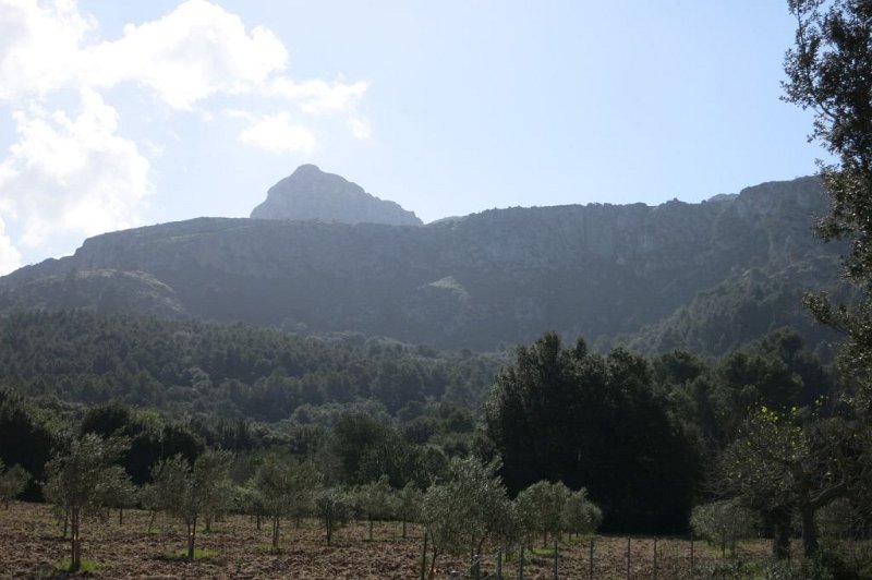 180322_CucullaFartaritx.jpg - Mallorca-Wanderungen - 22.03.2018  Cuculla de Fartaritx  vom Hinweg im March-Tal  -  auf diesen Gipfel soll es rauf