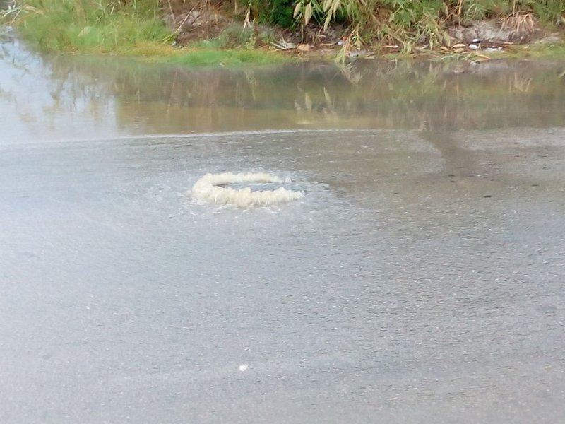 181009_Gully.jpg - Mallorca-Wanderungen - 09.10.2018 Tossals Verds - in Alcudia   schwebender Gullydeckel, garantiert Abwasser (mit Geruchstest) 