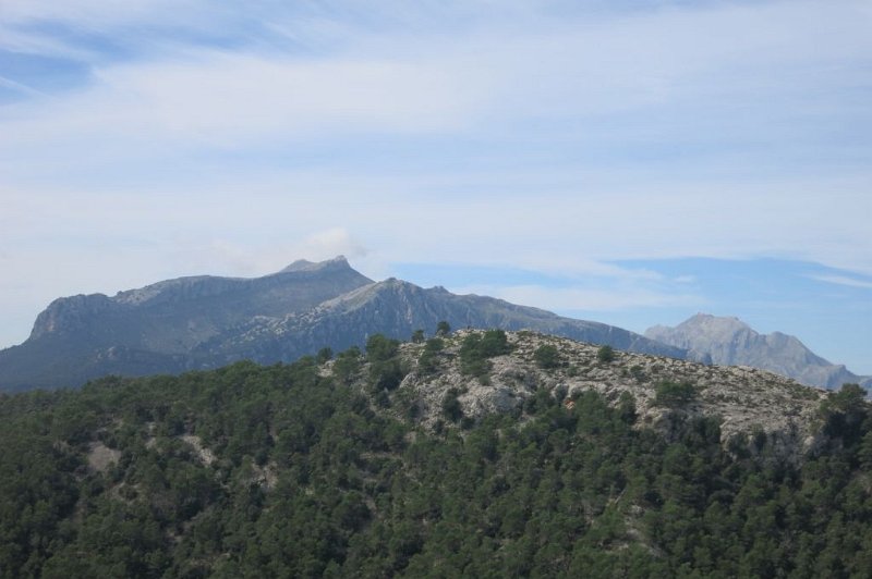 181011_Berge.jpg - Mallorca-Wanderungen - 11.10.2018 Puig Tomir vom March-Tal (Binifaldo, Ninot) - vom Aufstieg   Puig Massanella, Puig d'en Galileu, Puig Major 