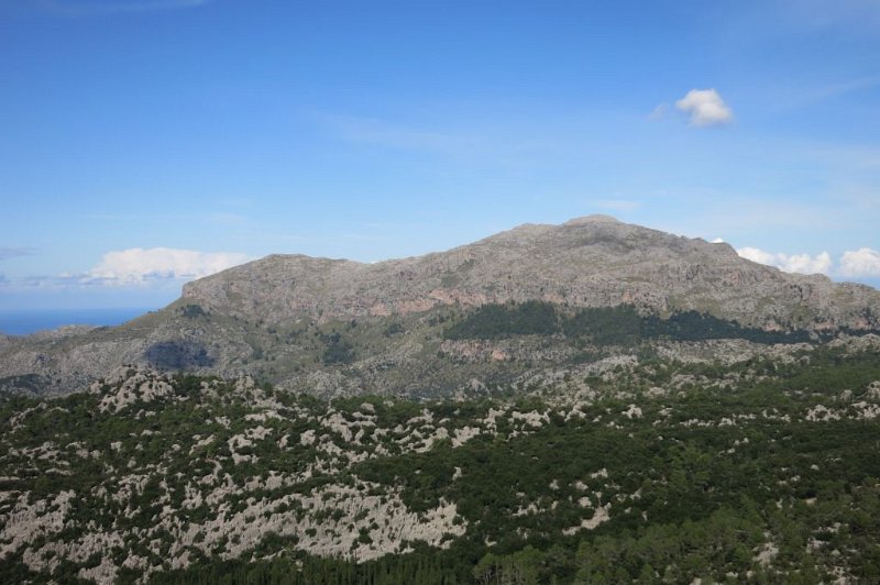 181016_Puig_Roig.jpg - Mallorca-Wanderungen - 16.10.2018 Alcanella, Coll de sa Batalla - vom Mirador del Fom   Puig Roig