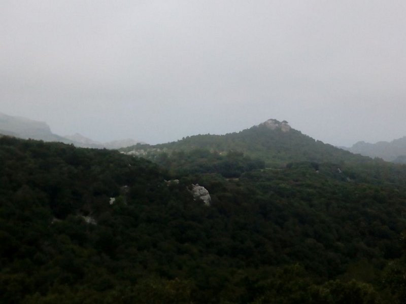 190305_gruen_Huegel.jpg - Mallorca-Wanderungen - 05.03.2019 Binifaldo - vom Wanderweg  ein  grüner Hügel