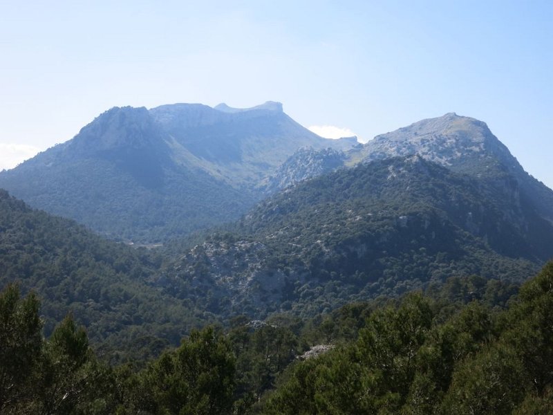 190323_Massanella_Galileu.jpg - Mallorca-Wanderungen - 23.03.2019 Aucanada, Coll de Sa Batailla - vom Wanderwegl  Massanella, Galileu