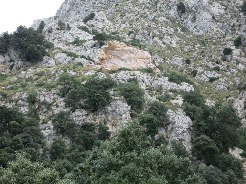 191020_Felssturz.jpg - Mallorca-Wanderungen - 20.10.2019 - Binifaldo vom Marchtal - vom Wanderweg  Felssturzwunde vernarbt weiter (Vergleich 06.04.2016)