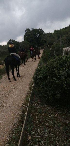 191025_Reiter.jpg - Mallorca-Wanderungen - 25.10.2019 - Menut, Binifaldotal - GR221 bei Binifaldo  Reiter sind unterwegs