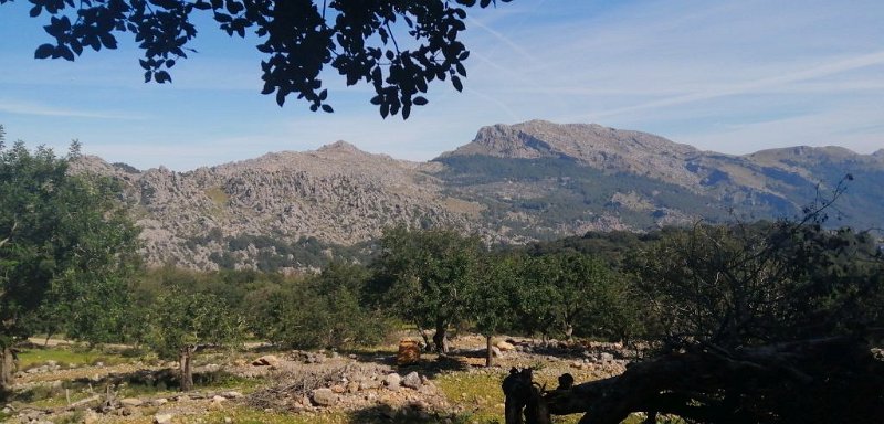 200312_Hinweg_1.jpg - Mallorca-Wanderungen - 12.03.2020 - vom March-Tal zum Binifaldo-Tal -  vom Wanderweg   Berge gegenüber