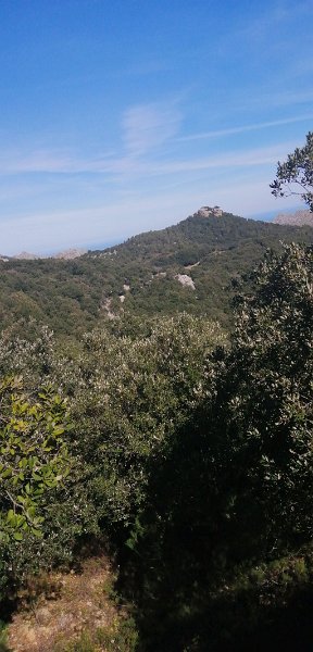 200312_Hinweg_2.jpg - Mallorca-Wanderungen - 12.03.2020 - vom March-Tal zum Binifaldo-Tal -  vom Wanderweg   ein markanter Hügel