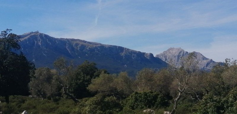 200312_Hinweg_3.jpg - Mallorca-Wanderungen - 12.03.2020 - vom March-Tal zum Binifaldo-Tal -  vom Wanderweg   Massanella hinter dem Galileu, rechts Puig Major 