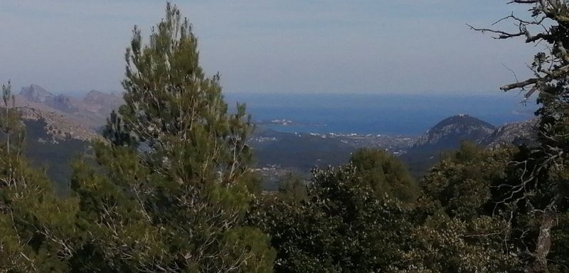 200312_Meer.jpg - Mallorca-Wanderungen - 12.03.2020 - vom March-Tal zum Binifaldo-Tal -  vom Wanderweg   das Meer, Bucht von Pollentia