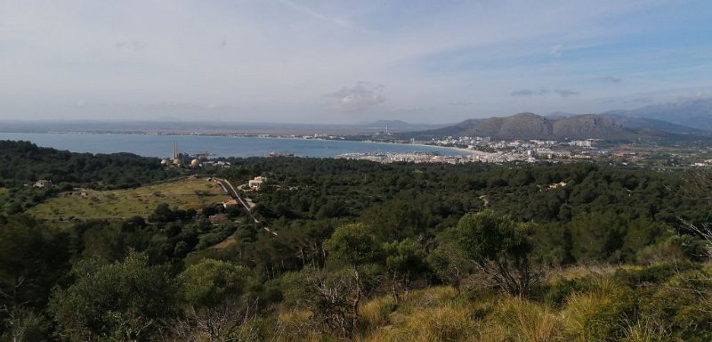 200313_Bucht_Alcudia.jpg - Mallorca-Wanderungen - 13.03.2020 - Talaia d' Alcudia -  vom Wanderweg   die Bucht von Alcudia