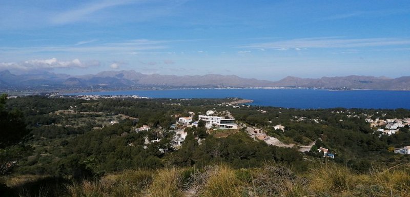 200313_Bucht_Pollentia.jpg - Mallorca-Wanderungen - 13.03.2020 - Talaia d' Alcudia -  vom Wanderweg   die Bucht von Pollentia