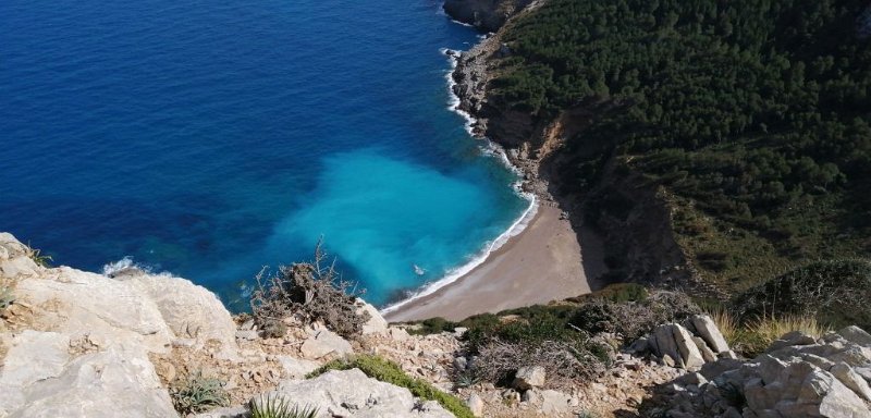 200313_Platja.jpg - Mallorca-Wanderungen - 13.03.2020 - Talaia d' Alcudia -  vom Wanderweg   Strand Platja Coll Baix 