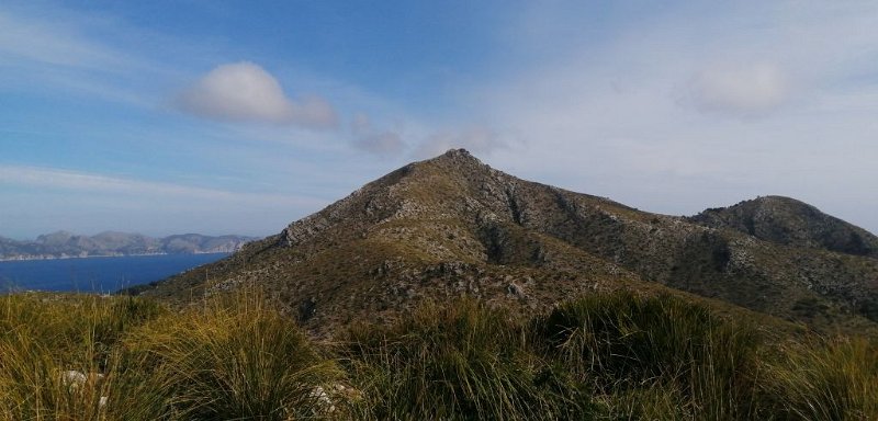 200313_Talaia.jpg - Mallorca-Wanderungen - 13.03.2020 - Talaia d' Alcudia -  vom Wanderweg   der Gipfel des Talaia