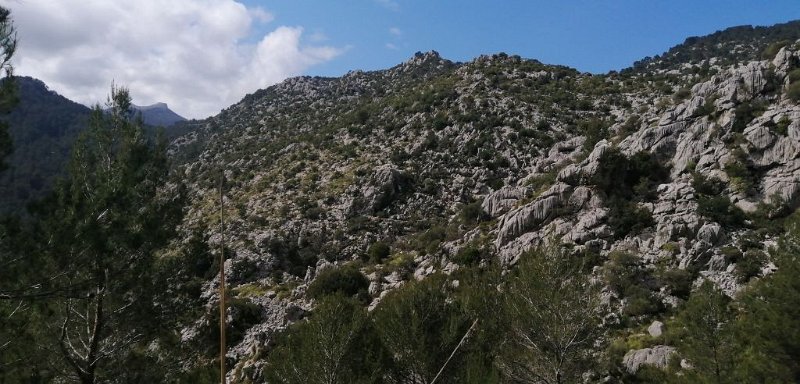 200314_Berg.jpg - Mallorca-Wanderungen - 14.03.2020 - Coll de Sa Batalla - Alcanella - vom Wanderweg   Berg gegenüber im Tal des Torrent des Picarols 
