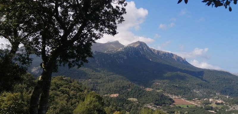 200314_Massanella_Galileu.jpg - Mallorca-Wanderungen - 14.03.2020 - Coll de Sa Batailla - Alcanella - vom Aussichtspunkt (mirador del foment de son amer)   Massanella, Galileu