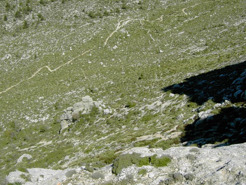 Massanella_Aufstieg.jpg - Mallorca-Wanderungen - 24.03.2009 Massanella   vom GR 221 - Aufstieg 