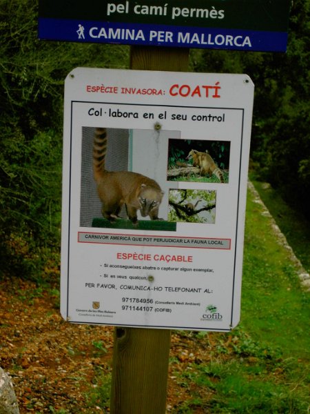 Neofauna.jpg - Mallorca-Wanderungen - 23.10.2009 Biniaraix   in Bianaraix- Warnung von Neofauna (kann gejagt werden)