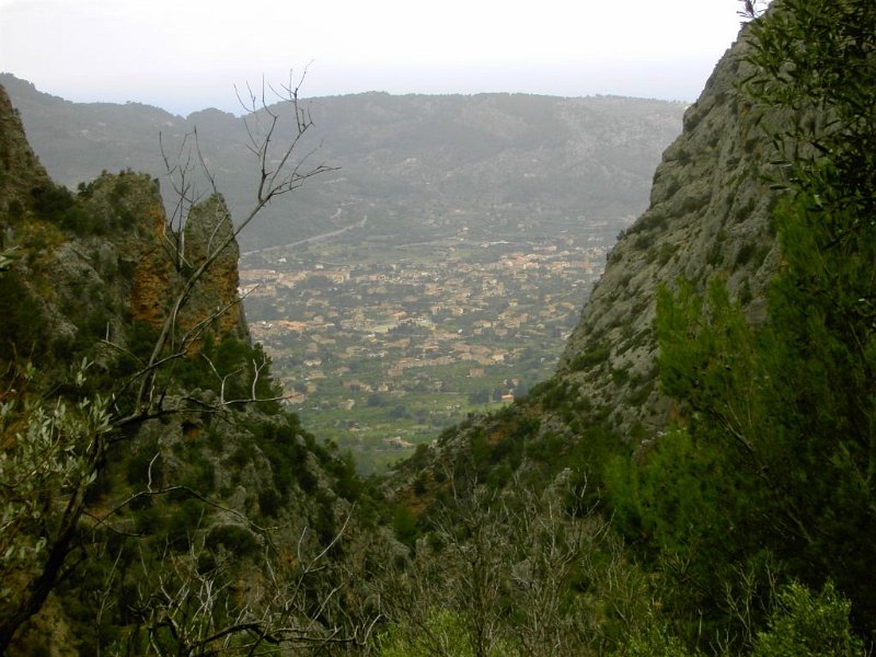 Soller_Ausschnitt.jpg - Mallorca-Wanderungen - 23.10.2009 Biniaraix   vom Aufstieg - Soller im Ausschnitt