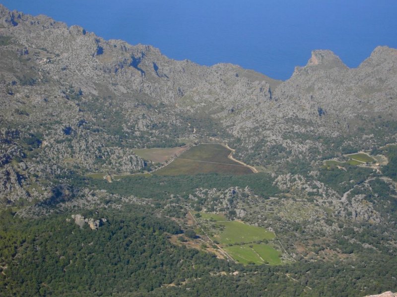 Vinyes_Mortitx.jpg - Mallorca-Wanderungen - 24.10.2009 Cuculla de Fartaritx   vom Gipfel - Weinanbau Finca Mortitx