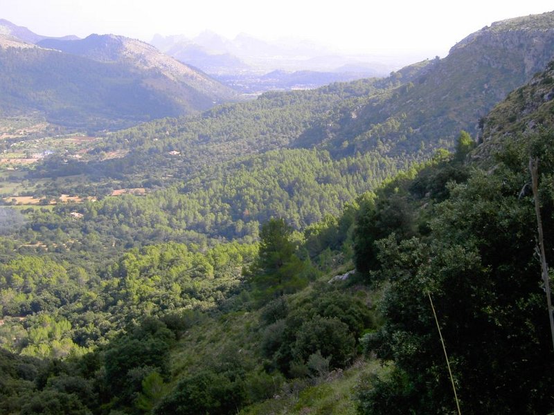 gruene_Aussichten.jpg - Mallorca-Wanderungen - 17.10.2009 Tomir   vom Aufstieg - grüne Aussichten