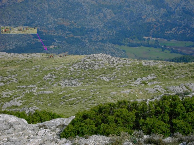 mas_turistas.jpg - Mallorca-Wanderungen - 20.10.2009 Galileu   vom Aufstieg - noch mehr Touristen
