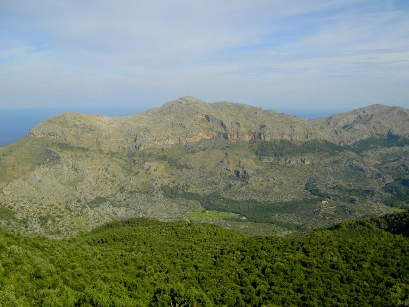 puig_roig.jpg - Mallorca-Wanderungen - 20.10.2009 Galileu   vom Aufstieg - Puig Roig