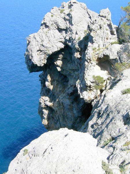 punta_den_canet.jpg - Mallorca-Wanderungen - 23.03.2009 Port de Soller   vom Wanderweg - Punta den Canet (Hündchen)  