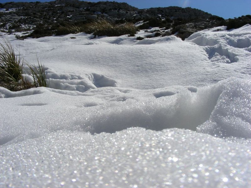 100315_Schnee_Tomir_A.jpg - Mallorca-Wanderungen - 15.03.2010 Tomir   am Gipfel - Tiefschnee (A) 