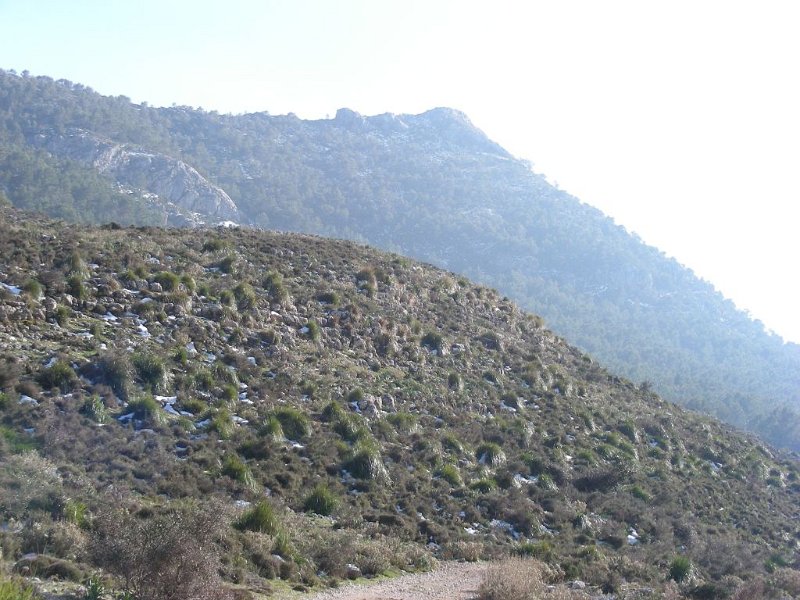 100316_Blick_zurueck_Ofre_A.jpg - Mallorca-Wanderungen - 16.03.2010 Ofre   vom Rückweg - Blick zurück zum Ofre (A) 