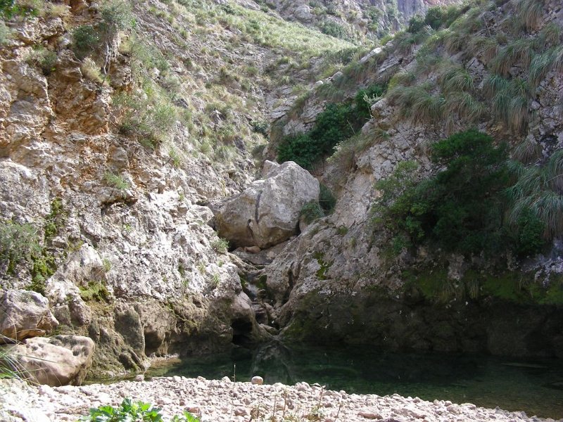 100318_no_way_A.jpg - Mallorca-Wanderungen - 18.03.2010 Mortitx  Abweg am Rückweg - hier ist Ende (A)