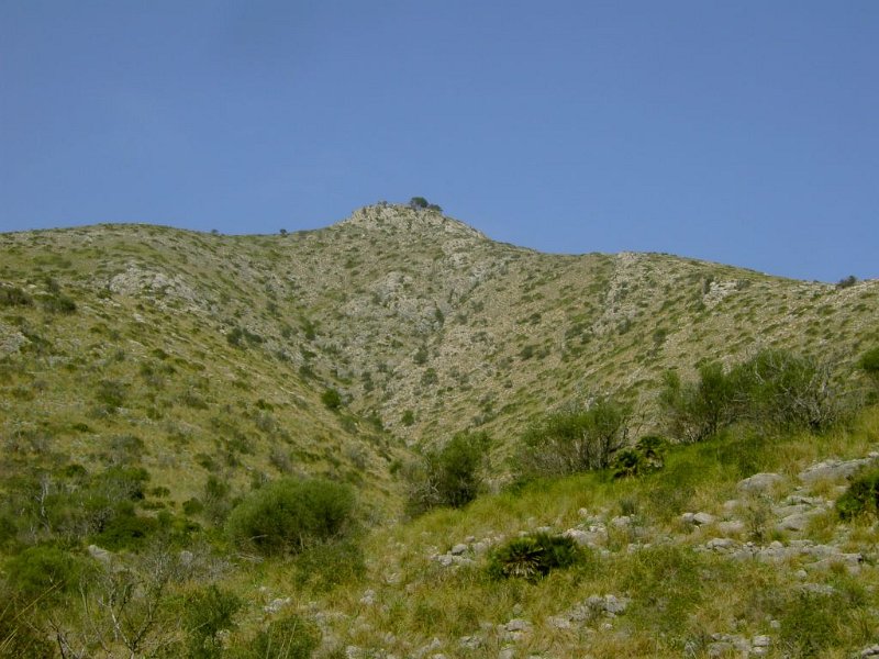 100319_Aufstieg_Talaia.jpg - Mallorca-Wanderungen - 19.03.2010 Talaia d' Alcudia  Hinweg - das Ziel ganz oben  