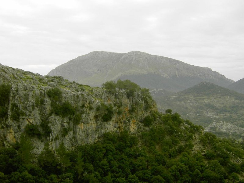 100321_Tomir_von_Mossa.jpg - Mallorca-Wanderungen - 21.03.2010 Sonntagswanderung (Puig Roig)  vom Rundweg bei Mossa - Tomir