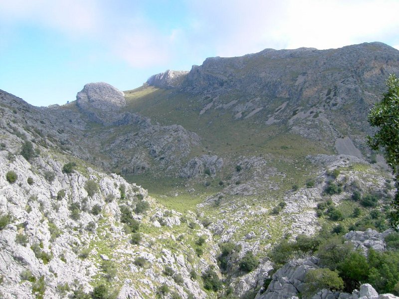 100323_Abstieg_Moro_de_Cuber.jpg - Mallorca-Wanderungen - 21.03.2010 Sonntagswanderung (Puig Roig)  vom Rundweg bei Mossa - Tomir